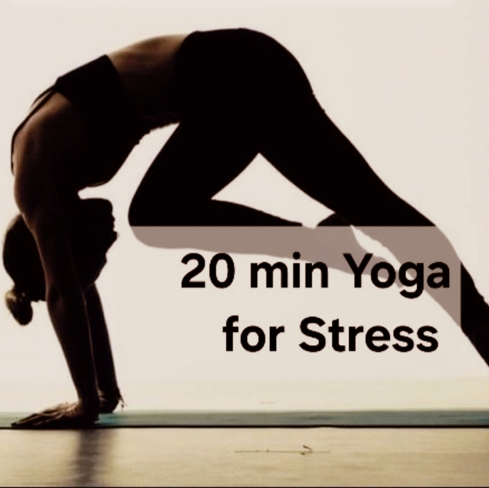 Yoga lol 🤣🤣 need bras 😆